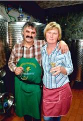 Cestnik - Vaupotič 1